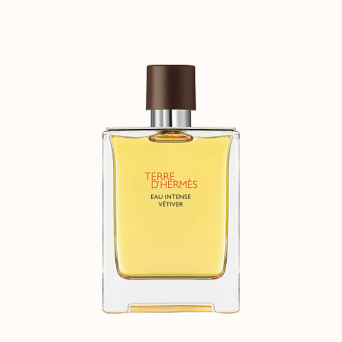 Hermes Terre d'Hermès Eau Intense Vetiver 100 ml Männer