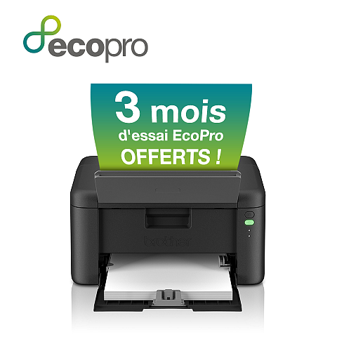 Brother HL-L1240W Laser-Drucker A4