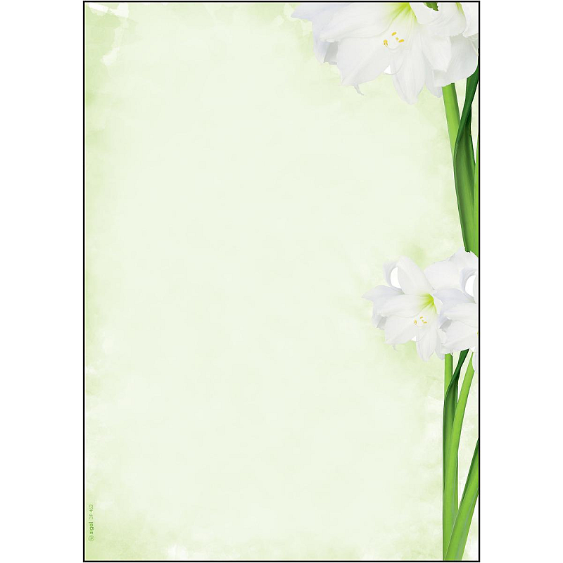 Sigel DP463 Druckerpapier A4 (210x297 mm) 25 Blätter Grün, Weiß