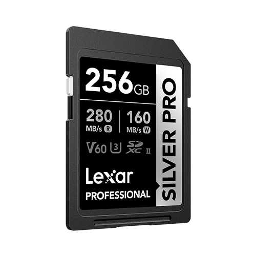 Lexar LSDSIPR256G-BNNNG Speicherkarte 256 GB SDXC UHS-II Klasse 10