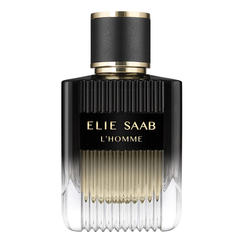 Elie Saab L'Homme 100 ml Männer