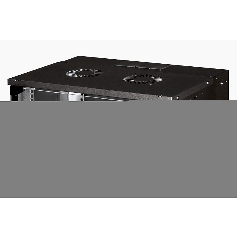 Digitus Wandgehäuse SOHO Pro - 483 mm (19") - 540x400 mm (BxT)