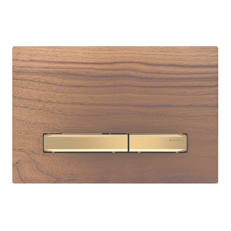 Geberit 115.672.JX.2 Ersatzteil für Toilettenspülung Spülplatte