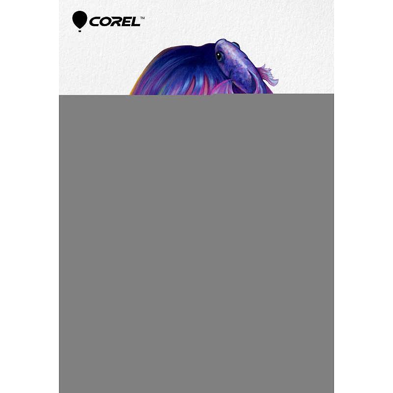 Corel Painter Essentials 8 Grafischer Editor Voll 1 Lizenz(en)