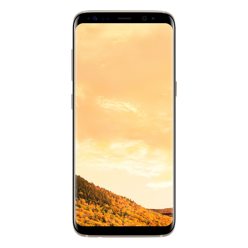 Samsung Galaxy S8 SM-G950FD 14,7 cm (5.8") Dual-SIM Android 7.0 4G USB Typ-C 4 GB 64 GB 3000 mAh Gold