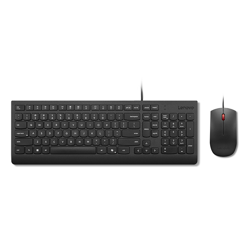 Lenovo 4X31R64434 Tastatur Maus enthalten Heimbüro USB Französisch, Deutsch, Schweiz Schwarz