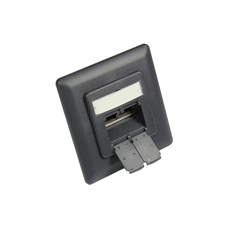 Alcasa GC-N0052AG Steckdose RJ-45 Anthrazit, Grau