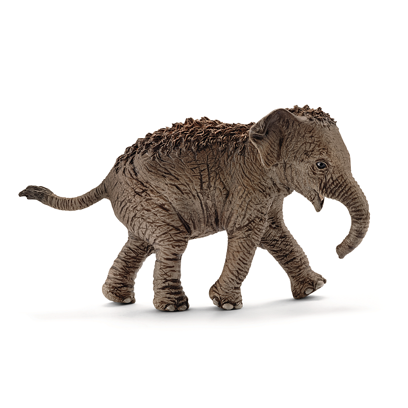 schleich WILD LIFE Asiatisches Elefantenbaby