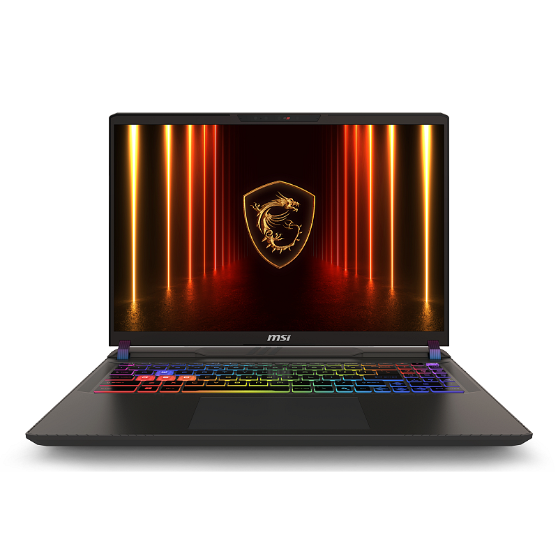 MSI Vector 16 HX AI A2XWHG-476 Intel Core Ultra 9 275HX Laptop 40,6 cm (16") Quad HD+ 16 GB DDR5-SDRAM 1 TB SSD NVIDIA GeForce RTX 5070 Ti Wi-Fi 6E (802.11ax) Windows 11 Home Grau