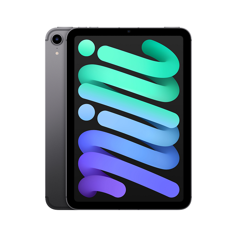 Apple iPad mini 5G TD-LTE & FDD-LTE 256 GB 21,1 cm (8.3") Wi-Fi 6 (802.11ax) iPadOS 15 Grau