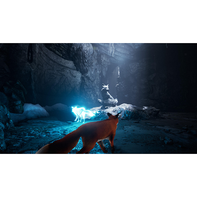 Merge Games Spirit of the North Standard Nintendo Switch