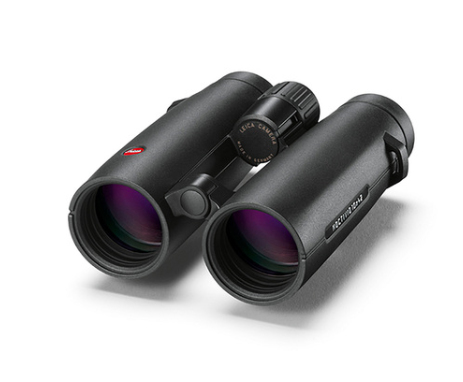 Leica Noctivid 10 x 42 Fernglas Schwarz