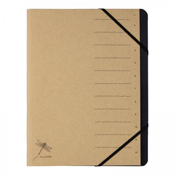 Pagna 40061-11 Tab-Register Konventioneller Dateiordner Karton Braun
