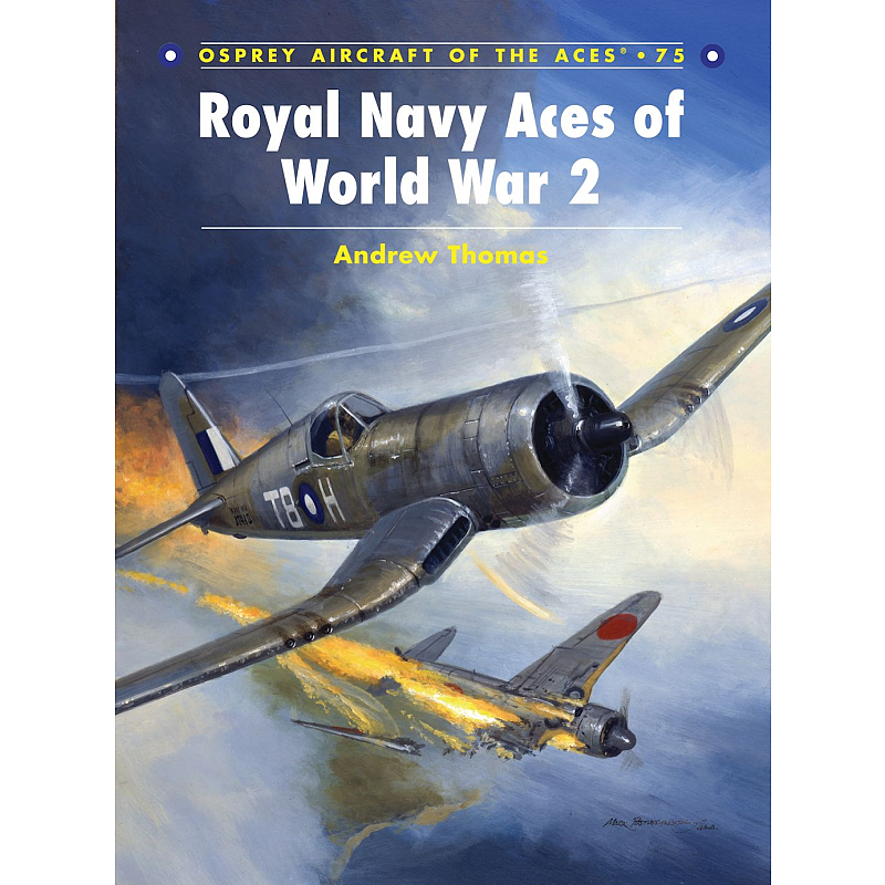 Royal Navy Aces of World War 2 Buch Englisch Taschenbuch 96 Seiten