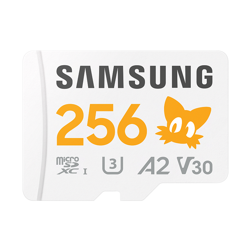 Samsung MB-MD256S 256 GB MicroSDXC UHS-I Klasse 10
