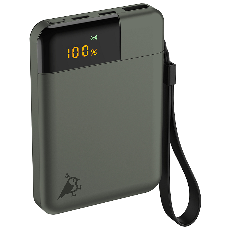 Aqiila Powerbird B5 Lithium Polymer (LiPo) 5000 mAh Grün