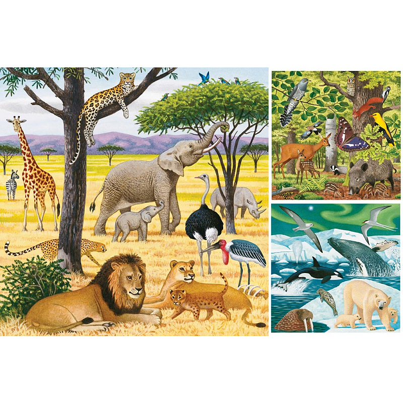 Ravensburger 09387 Puzzle Puzzlespiel 49 Stück(e) Fauna