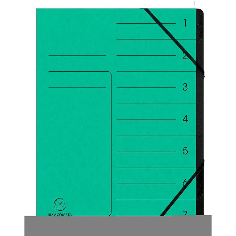 Exacompta 540703E Sammelmappe Karton Grün A4