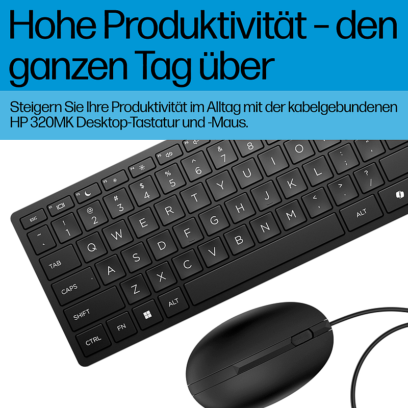 HP Wired Desktop 320MK Maus und Tastatur