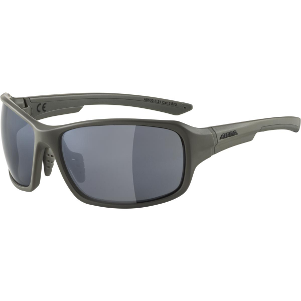 Alpina Sports LYRON Multisportbrille Vollrand Grau