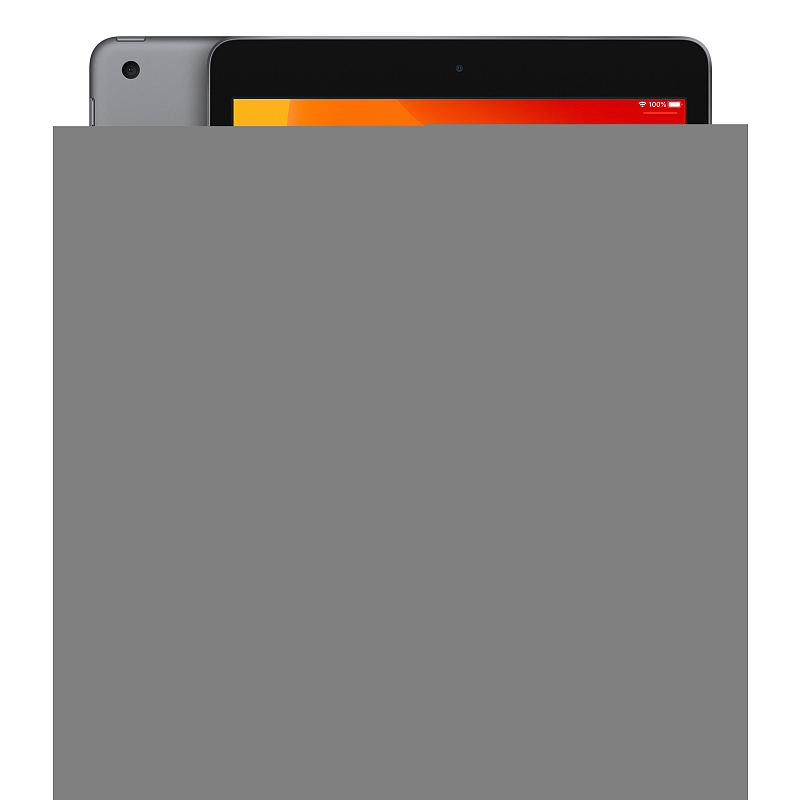 Apple iPad 4G LTE 128 GB 25,9 cm (10.2") Wi-Fi 5 (802.11ac) iPadOS Grau