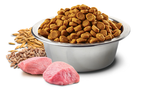 Farmina Pet Food CHICKEN & POMEGRANATE PUPPY MEDIUM & MAXI 2,5 kg Welpe Huhn