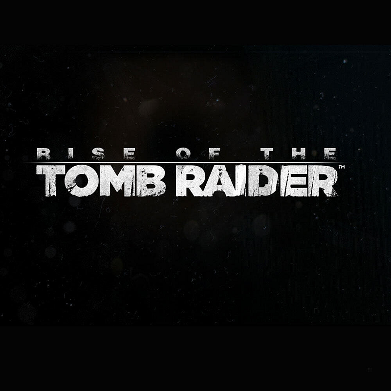 Square Enix Rise of the Tomb Raider - 20 Year Celebration Edition Tag Eins Deutsch, Englisch, Vereinfachtes Chinesisch, Koreanisch, Spanisch, Französisch, Italienisch, Japanisch, Niederländisch, Polnisch, Portugiesisch, Russisch PlayStation 4