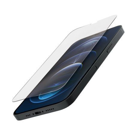 Quad Lock 313-065-6602 Display-/Rückseitenschutz für Smartphones Klare Bildschirmschutzfolie Apple 1 Stück(e)