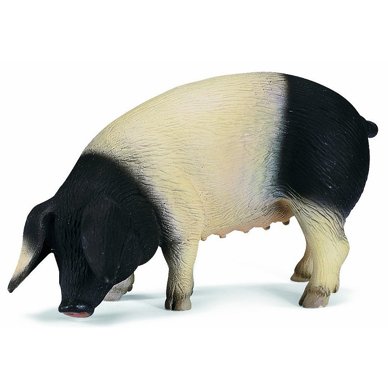 schleich Schwäbisch-hällisches Schwein