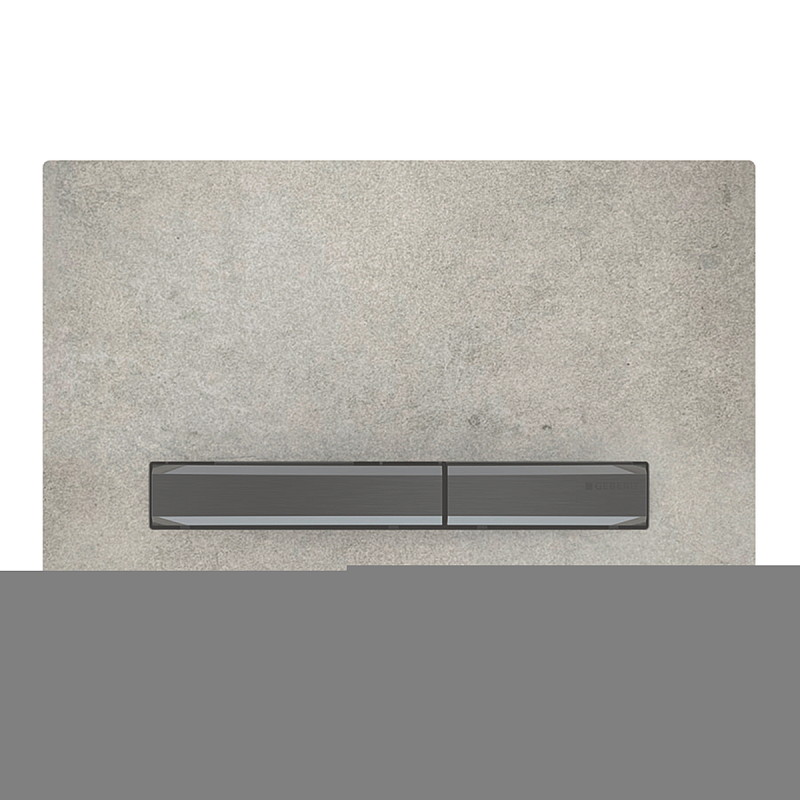 Geberit 115.671.JV.2 Ersatzteil für Toilettenspülung Spülplatte Schwarz, Chrom