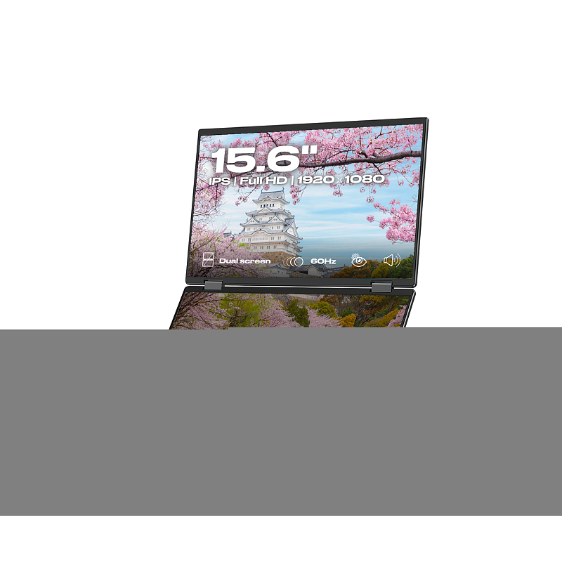 JAPANNEXT JN-DMD-IPS156F Computerbildschirm 39,6 cm (15.6") 1920 x 1080 Pixel Full HD LCD Schwarz