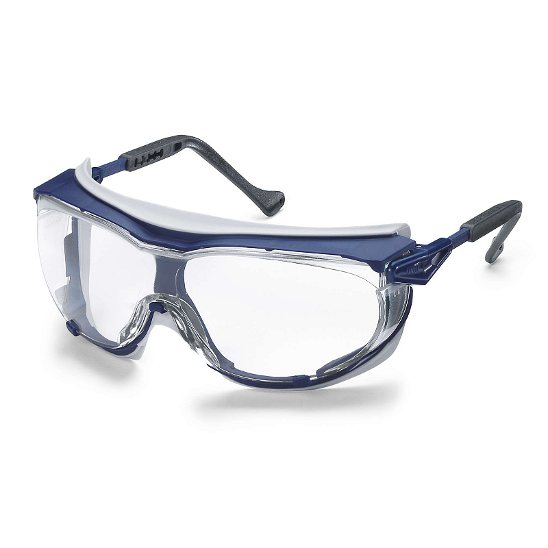Uvex 9175260 Schutzbrille/Sicherheitsbrille Blau, Grau
