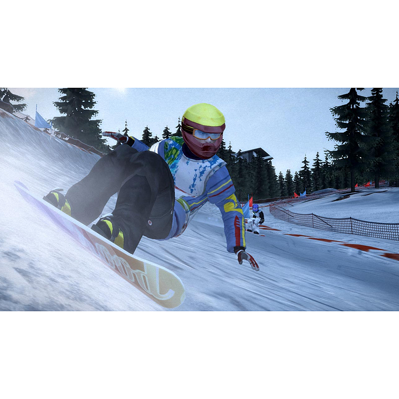 dtp entertainment AG Winter Sports 2011 - Go for Gold, Wii Standard