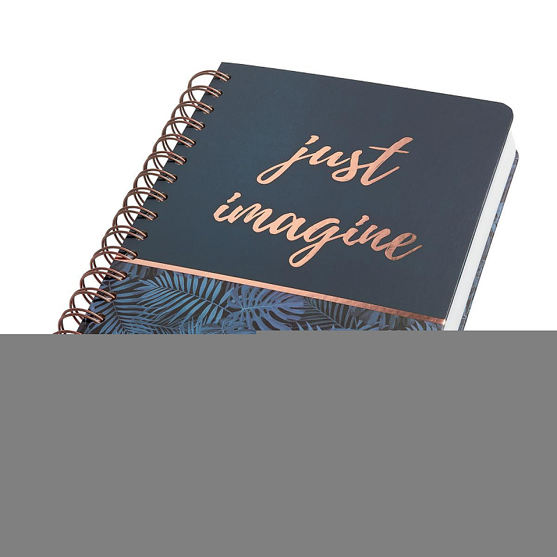 Sigel JN603 Notizbuch A5 240 Blätter Schwarz, Blau