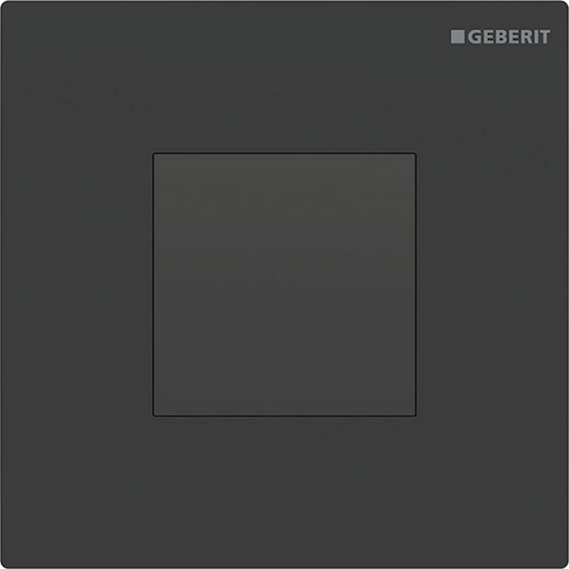 Geberit 116.027.16.1 Ersatzteil für Toilettenspülung Spülplatte Schwarz