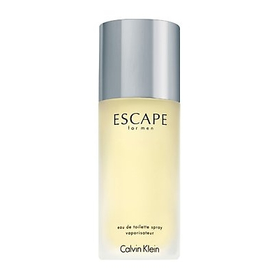 Calvin Klein Escape For Men 100 ml Männer