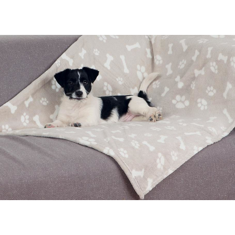 TRIXIE Kenny Hund Plüsch Beige