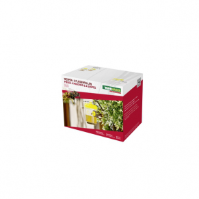 Windhager WASPS- & FLYTRAPS DUO Wespenfalle Transparent, Gelb