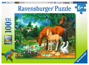 Ravensburger 00.010.833 Schiebepuzzle 100 Stück(e) Flora & Fauna