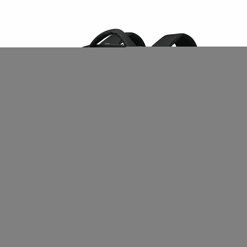 DICOTA D32038-RPET Laptoptasche 43,9 cm (17.3") Rucksack Schwarz