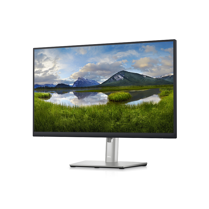 DELL P Series 60,45 cm (23,8")-Monitor – P2423D