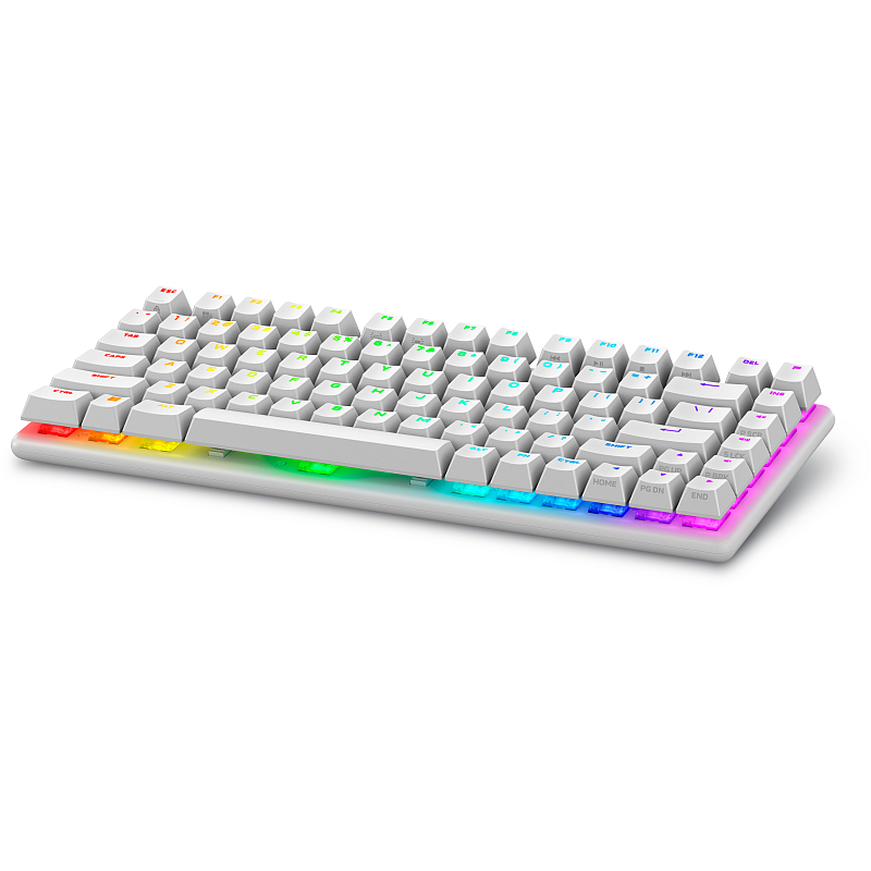 Alienware Pro Wireless Gaming Keyboard Tastatur USB + RF Wireless + Bluetooth Weiß