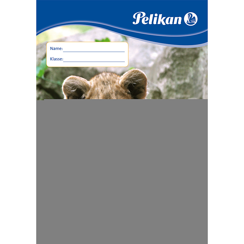 Pelikan 224816 Kunstdruckpapier Kunstdruckpapierblock 10 Blätter