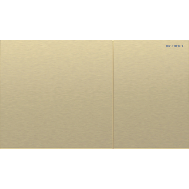 Geberit 115.622.QF.1 Ersatzteil für Toilettenspülung Spülplatte