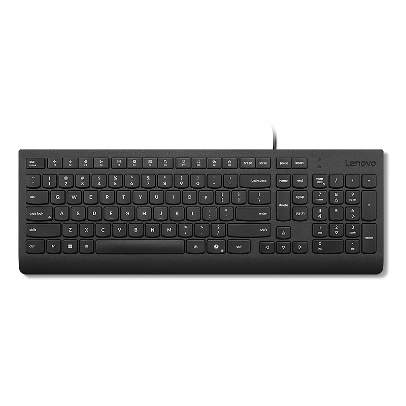Lenovo 4Y41R64667 Tastatur Heimbüro USB Französisch, Deutsch Schwarz