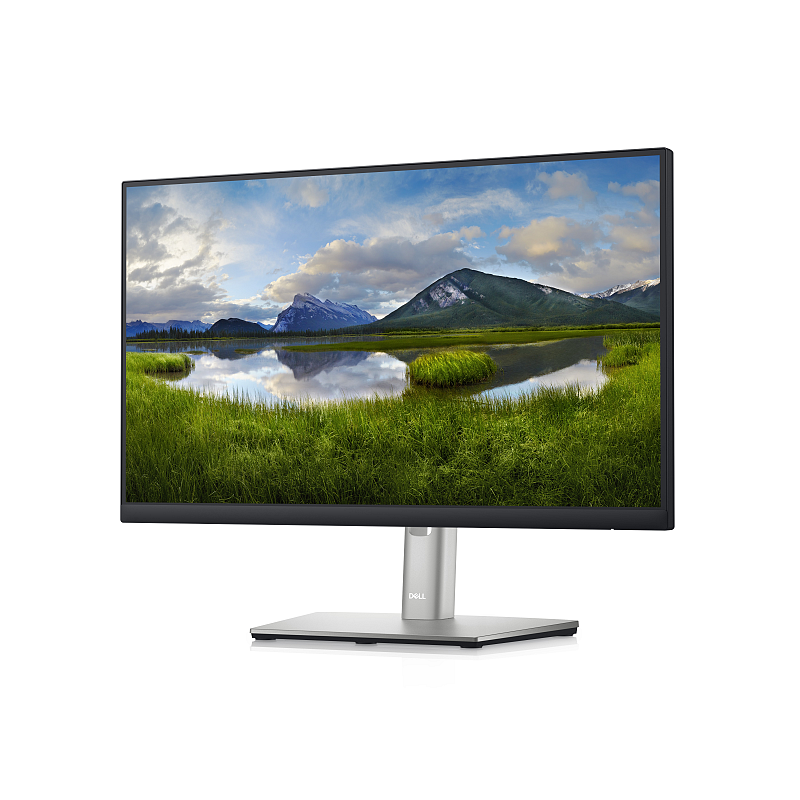 DELL P Series 54,61 cm (21,5") Monitor – P2222H