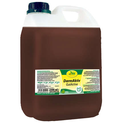 cdVet Naturprodukte DarmAktiv Hund & Katze 2500 ml Katze / Hund Flüssigkeit