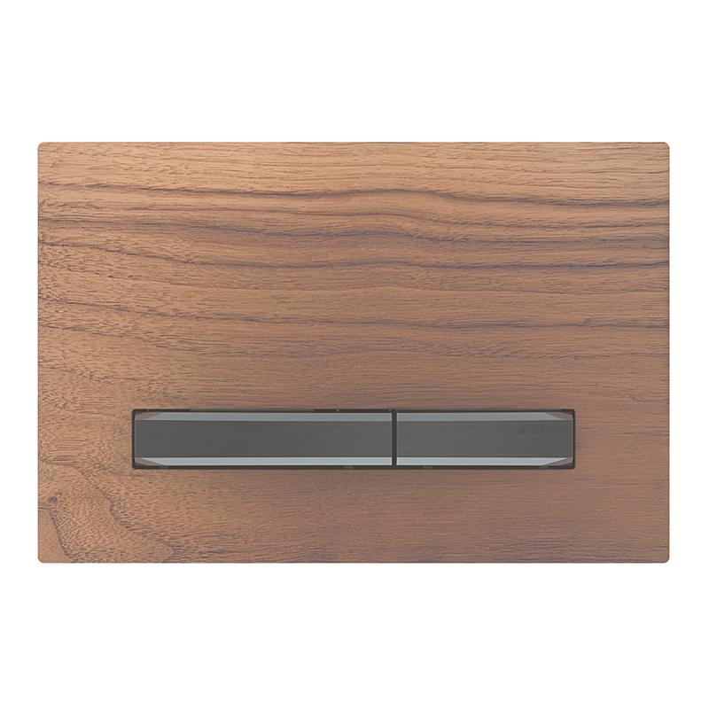Geberit 115.671.JX.2 Ersatzteil für Toilettenspülung Spülplatte Schwarz, Chrom