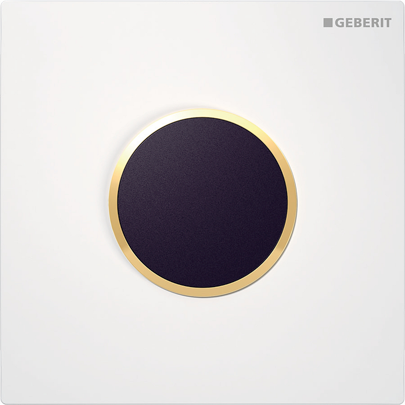 Geberit 116.025.KK.1 Ersatzteil für Toilettenspülung Spülplatte Weiß