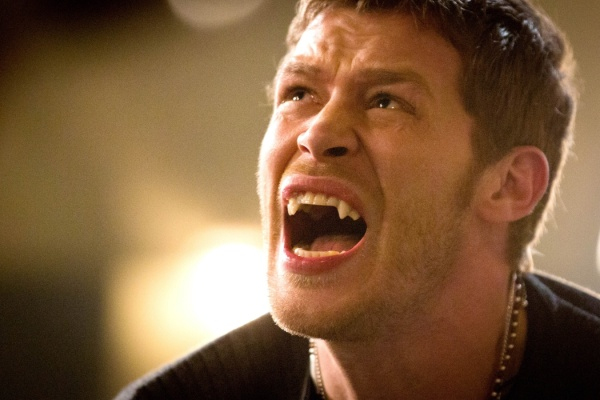 PLAION The Originals: Die komplette 1. Staffel